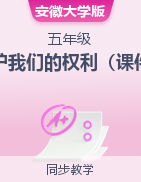 第 4 課維護我們的權利（課件）-2023-2024學年五年級下冊綜合實踐活動安徽大學版