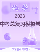 2023中考化学总复习模拟卷