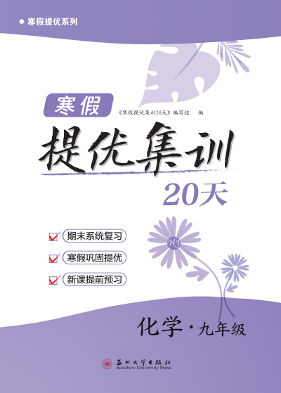 【寒假提優(yōu)集訓】2024-2025學年新教材九年級化學20天（滬教版2024）