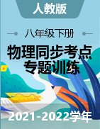 2021-2022學(xué)年八年級物理下冊同步考點專題訓(xùn)練（人教版）