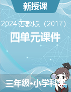 2023-2024学年科学三年级下册四单元课件（苏教版）