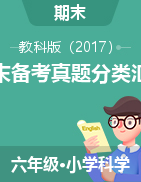 2024-2025學(xué)年六年級科學(xué)上學(xué)期期末備考真題分類匯編（教科版）