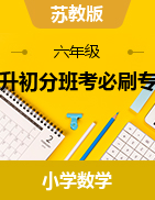 2023-2024學(xué)年六年級(jí)下冊(cè)數(shù)學(xué) 小升初分班考必刷專題