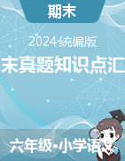 2024-2025學(xué)年語文六年級上冊期末真題知識點匯編（統(tǒng)編版）