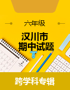 湖北省孝感市漢川市2022-2023學(xué)年六年級下學(xué)期期中試題