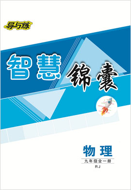 2021-2022學(xué)年九年級全一冊初三物理【導(dǎo)與練】初中同步學(xué)習(xí)智慧錦囊（人教版）