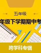 湖南省怀化市通道县2022-2023学年五年级下学期期中考试试题