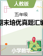 廣東省期末培優(yōu)真題匯編-2024-2025學年五年級上冊數(shù)學人教版