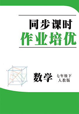 2021-2022學(xué)年七年級(jí)下冊(cè)初一數(shù)學(xué)同步課時(shí)培優(yōu)作業(yè)(人教版)