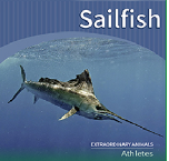 Sailfish