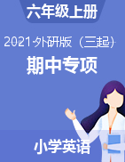 【期中專項】2021-2022學(xué)年第一學(xué)期英語期中專項訓(xùn)練 六年級上冊 外研三起