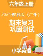 期末复习巩固测试 六年级上册英语教科版（广州）（含答案）