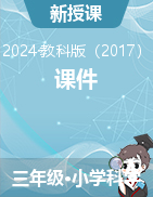 2023-2024學(xué)年三年級下冊科學(xué)課件（教科版） 