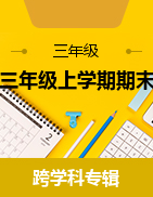 湖南省岳阳市临湘市2021-2022学年三年级上学期期末考试试题