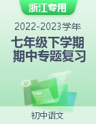 2022-2023学年七年级语文下学期期中专题复习（浙江专用）