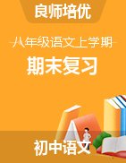 【良師培優(yōu)】2022-2023學(xué)年八年級語文上學(xué)期期末復(fù)習(xí)