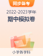 2022-2023学年小学各科上学期期中模拟卷