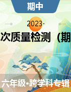 陕西省咸阳市泾阳县2022-2023学年六年级下学期第二次质量检测（期中）试题