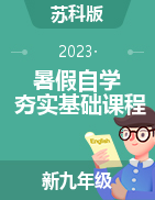 2023年新九年級(jí)物理暑假自學(xué)夯實(shí)基礎(chǔ)課程（蘇科版）