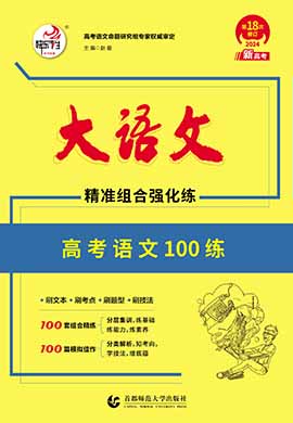 【大语文】2024高考语文复习精准组合强化100练（新高考）