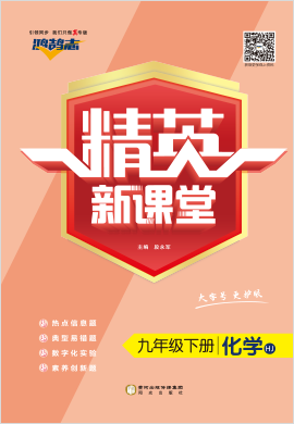 （作業(yè)課件）【鴻鵠志·精英新課堂】2022-2023學年九年級下冊初三化學（滬教版）