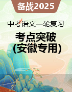 備戰(zhàn)2025年中考語文一輪復(fù)習(xí)考點(diǎn)突破（安徽專用）