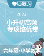 小升初專項培優(yōu)卷-2022-2023學(xué)年六年級數(shù)學(xué)下冊高頻考點易錯題通用版