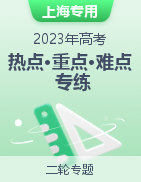 2023年高考物理【热点·重点·难点】专练（上海专用）