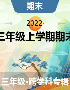 貴州省黔南州都勻市2021-2022學(xué)年三年級(jí)上學(xué)期期末檢測(cè)試題