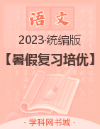 2023年七年级下册初一语文【暑假复习培优】部编版