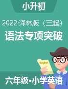 2022-2023学年江苏地区小升初语法专项突破（译林版三起）