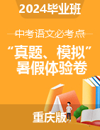 2024届毕业班中考语文必考点“真题+模拟”暑假体验卷（重庆版）