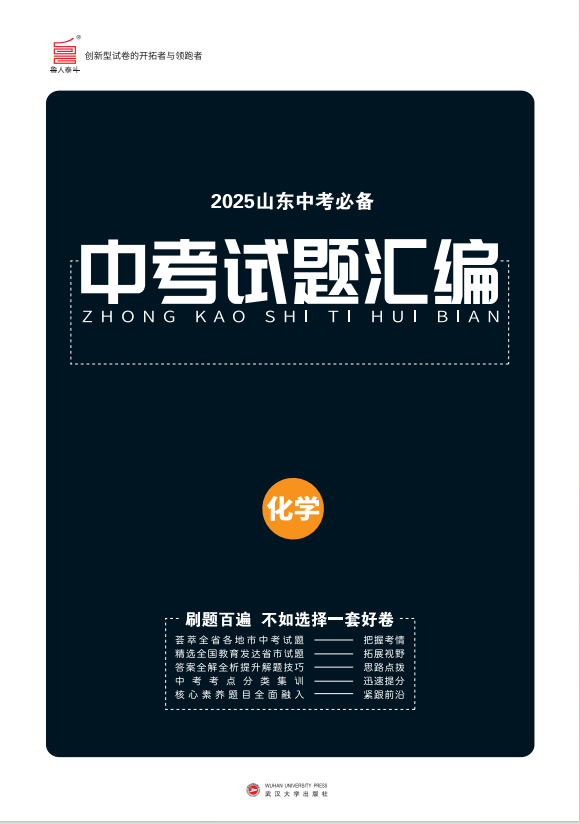 2025年山東中考化學(xué)必備試題匯編