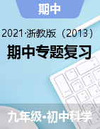 期中專題復(fù)習(xí)——2021-2022學(xué)年華東師大版九年級上學(xué)期科學(xué)