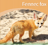 Fennec fox