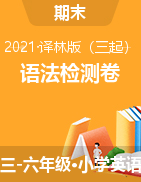 【语法专项】2021年译林三起版 三到六年上册英语期末语法检测卷（含答案）