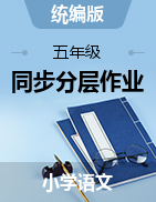 2024-2025學(xué)年五年級(jí)語文上冊(cè)同步作業(yè)練習(xí)（統(tǒng)編版）