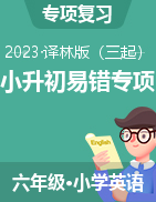 小升初專項(xiàng)特訓(xùn)：2022-2023學(xué)年小學(xué)英語六年級(jí)下冊(cè)（譯林版三起）