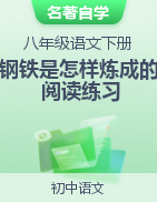 2022-2023學(xué)年八年級語文下冊名著《鋼鐵是怎樣煉成的》閱讀+練習(xí)