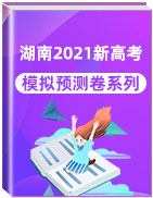 湖南省备战2021年新高考模拟预测卷