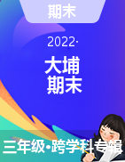 广东省梅州市大埔县2021-2022学年三年级上学期期末教学质量监测试题 