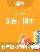江苏省盐城市东台市2021-2022学年五年级上学期期末测试试卷