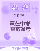 【赢在中考·高效备考】2023中考化学试卷汇编（淄博专用）