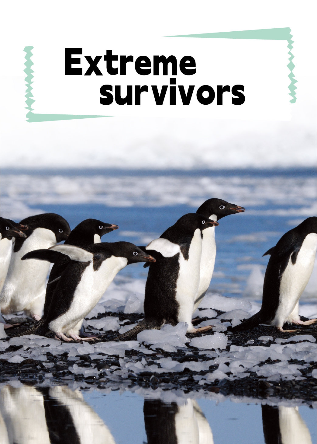 Extreme Survivors