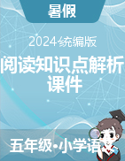 2023-2024学年五年级下册语文阅读知识点解析课件（统编版）