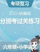 分班考過(guò)關(guān)練習(xí)-2022-2023學(xué)年語(yǔ)文六年級(jí)下冊(cè)（統(tǒng)編版）