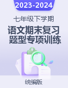 2023-2024學(xué)年七年級語文下學(xué)期期末復(fù)習(xí)題型專項(xiàng)訓(xùn)練（統(tǒng)編版）