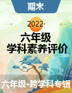 河北省石家庄高新技术产业开发区实验小学2021-2022学年六年级下学期学科素养评价试题