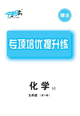 【千里馬·單元測試卷】2024-2025學(xué)年新教材九年級全一冊化學(xué)專項培優(yōu)提升練（人教版2024 黑龍江專版）