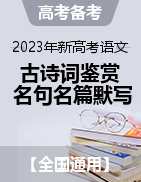 2023年新高考語文課內(nèi)古詩詞鑒賞及名句名篇默寫系統(tǒng)復(fù)習(xí)